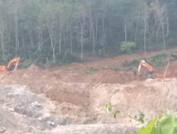 3920 Hektare Lahan di Jambi Rusak Akibat Tambang Emas Ilegal