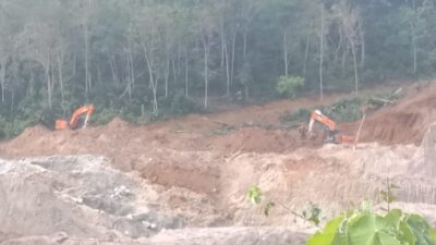 3920 Hektare Lahan di Jambi Rusak Akibat Tambang Emas Ilegal