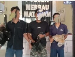 Jajaran Polsek Merbau Mataram, Amankan Tiga Orang Pelaku Curat