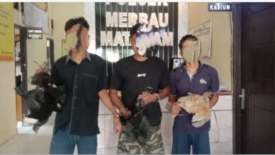 Jajaran Polsek Merbau Mataram, Amankan Tiga Orang Pelaku Curat