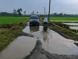 Warga Keluhkan Jalan Rusak di Desa Pematang Baru