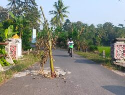 Tak Kunjung Diperbaiki, Lubang di Jembatan Penghubung Desa Bumidaya-Tanjungjaya Ditanami Pohon Pisang