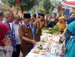 Bupati Merangin Launching Program Dahsat Guna Mengatasi Penurunan Angka Stunting