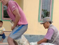 Puskeswan Palas, Gencar Vaksin di Bulan Bakti Rabies