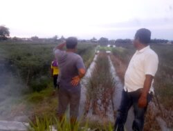 Soal Berita Petani Racuni Cabai, Petugas Lakukan Penelusuran