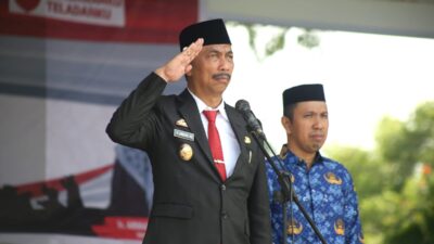 Hari Pahlawan, Wabup Wajo Sebut Momentum Perkuat Persatuan dan Kesatuan Bangsa