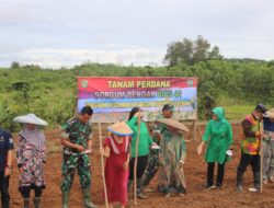 Tingkatkan Ketahanan Pangan, Kodim 0603/Lebak Tanam Sorgum Bareng Petani