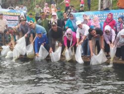 Dapat Bantuan Dari Kementerian KKP, Wabup Merangin Sebar Benih Ikan di Danau Pauh