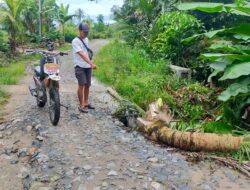 Tergerus Air, Badan Jalan Dusun Bali Dharma Nyaris Putus