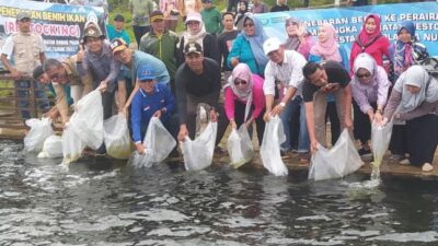 Dapat Bantuan Dari Kementerian KKP, Wabup Merangin Sebar Benih Ikan di Danau Pauh