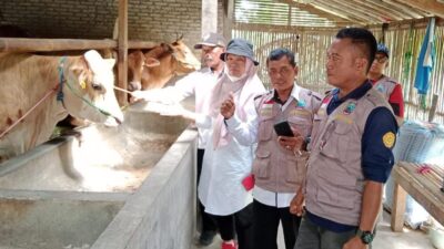 Genjot Vaksinasi PMK, Puskeswan Palas-Sragi Targetkan Selesai Akhir November