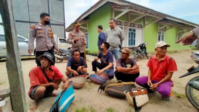 Respon Cepat, Polsek Sukarame Gerebek Lokasi Sabung Ayam