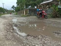 Masyarakat Palas Jaya Keluhkan Jalan Seperti Kubangan Kerbau