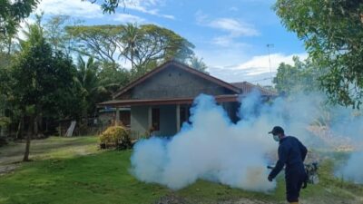Palas Kembali Muncul Kasus DBD, Puskesmas Himbau Warga Waspada