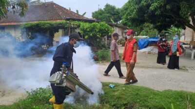 Kasus DBD di Mekarmulya, Langsung Ditangani Puskesmas Palas