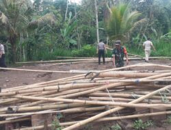 Kompak, Polisi dan Muspika Bongkar Arena Judi Sabung Ayam di Gedangan Malang