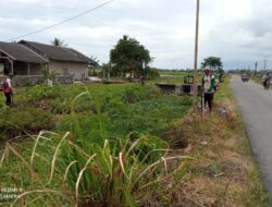 Petani Lamsel Apresiasi Kegiatan Pembersihan Rumput Oleh BBWSMS