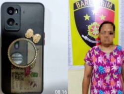 Mencuri Handphone di Loker, Seorang wanita di Tanjung Bintang Diringkus Polisi