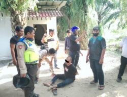 Grebek Kampung Narkoba, Polres Pelabuhan Belawan Tangkap Pengedar Shabu