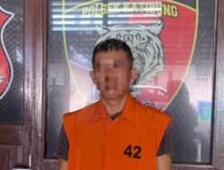 Pelaku Pencabulan Dibawah Umur di Ketibung Diamankan Polisi