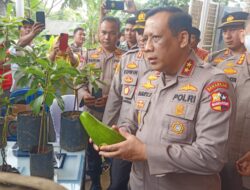 Kakorbimas Baharkam Polri Kunjungi Usaha UMKM Pembibitan Tanaman Buah Alpukat di Jati Agung