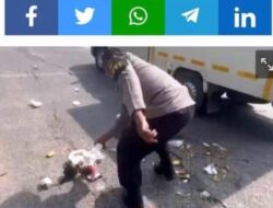 Dapat Puiian, Anggota Polres Lamsel Diposting di Story IG Kapolri Punguti Sampah di Jalinsum