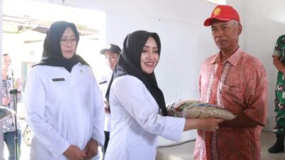 Pemkab Mojokerto Berikan Bantuan 25 Ton Benih Padi Untuk Petani