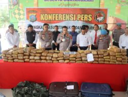 Satresnarkoba Polresta Deli Serdang Berhasil Amankan Pengedar Ganja, BB Mencapai 173 kg