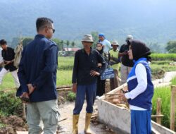 Rezka Oktoberia Tinjau Pembangunan Irigasi P3-TGAI di Limapuluh Kota