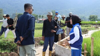 Rezka Oktoberia Tinjau Pembangunan Irigasi P3-TGAI di Limapuluh Kota