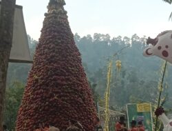 Angkat Potensi Wisata dan Buah Lokal, Desa Galengdowo Jombang Gelar Pesta Makan Buah Salak