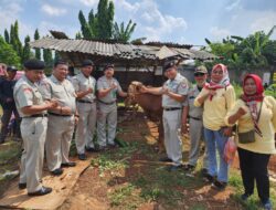 Idul Adha 1444 Hijriah, DPP FKGPJ Salurkan Hewan Qurban Di Wilayah Kota dan Kabupaten Bekasi