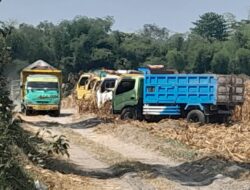 Diduga Ilegal, Aktivitas Galian C Kutoporong Mojokerto Bermodus Cetak Sawah