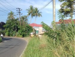 Rumput Gondrong di Kelurahan Tanjung Pauh Payakumbuh Barat Merusak Pemandangan