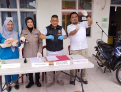 DPO Kasus Curas di Lampung, Tewas Ditembus Timah Panas Polisi