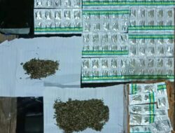 Edarkan Obat Keras dan Ganja, Warga Cikole Sukabumi Diringkus Polisi