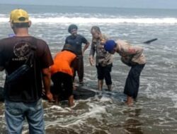 Paus Botol Ditemukan Warga Terdampar di Pantai Citepus Pelabuhan Ratu