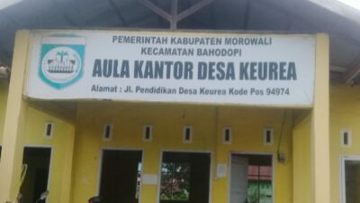 Husni Abd W Sarankan Desa Keurea Morowali Sulam Wajah