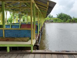 Telah Dibuka, Kolam Pancing Kampung Nelayan Belawan