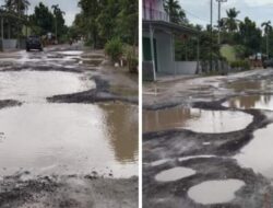 Sempat Viral, Dinas PUPR Lamsel Siap Perbaiki Ruas Jalan Bumidaya-Bumirestu