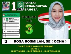 Kampanye Terakhir, Caleg Dapil 3 Kota Palembang Rosa Rosmilah Gelar Baksos