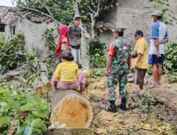 Angin Kencang, Dua Rumah Warga di Palas Rusak Tertimpa Pohon Tumbang