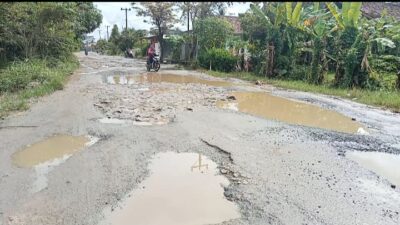 Jadi Wakil Lomba Desa Tingkat Provinsi, Jalan di Kabupaten Lamsel Tampak Memperihatinkan