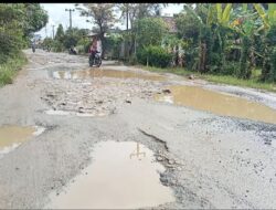 Jadi Wakil Lomba Desa Tingkat Provinsi, Jalan di Kabupaten Lamsel Tampak Memperihatinkan