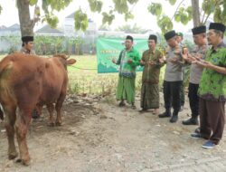 Berbagi kebahagiaan Hari Raya Idul Adha, Polres Mojokerto distribusikan Hewan Kurban 12 Sapi dan 17 Kambing