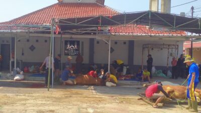 Warga RW 21 Perumnas Subang, Potong Qurban Empat Ekor Sapi dan Lima Ekor Domba