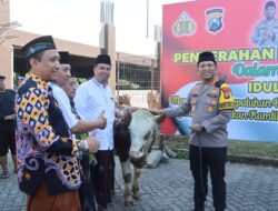 Polresta Sidoarjo Salurkan Hewan Kurban 21 ekor Sapi dan 55 ekor Kambing ke Masyarakat