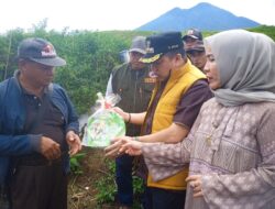 Pj Bupati Serahkan Bibit Cabai ke Petani Jangkat