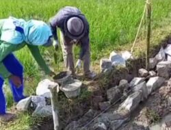 Ditanya Proyek DAK Mangkrak, Kepala Dinas Pertanian Bungkam