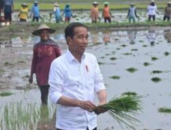 Kunjungi Lampung Selatan, Jokowi Berikan Bantuan Mesin Pompa Untuk Petani